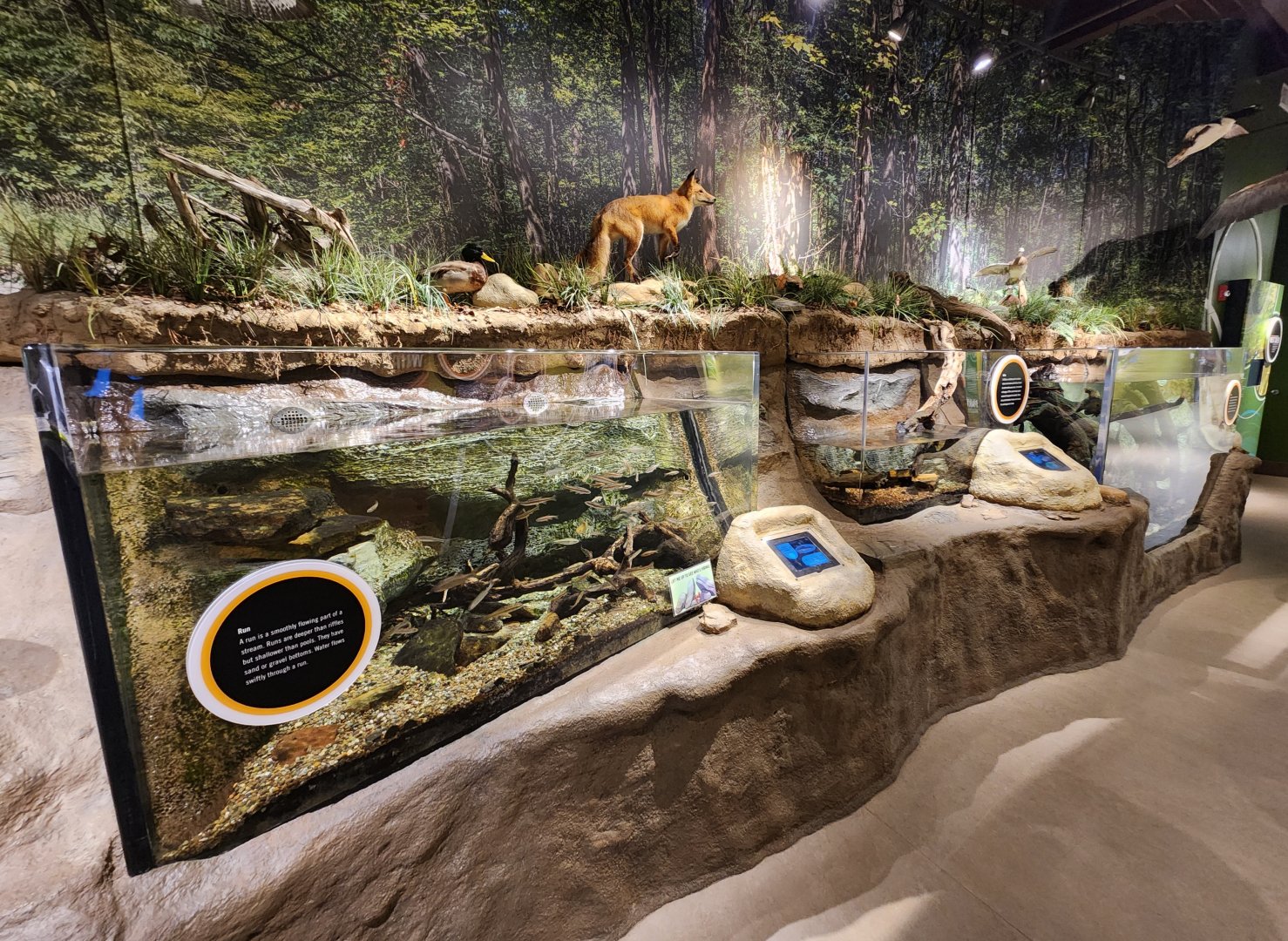 Watershed Stewardship Center - Watershed exhibit