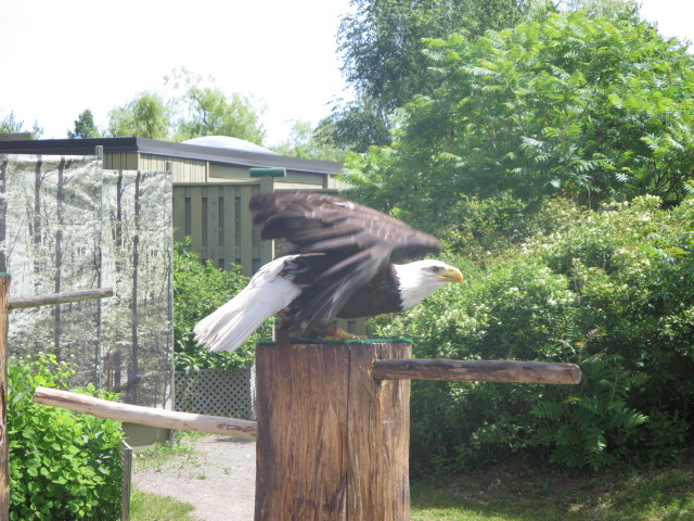 Waterside Theater-Arya