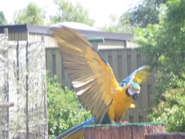 Waterside Theater-Blue