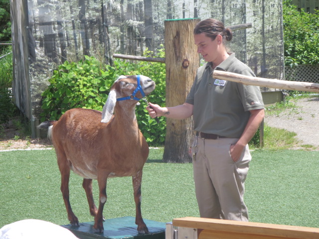 Waterside Theater-Holly