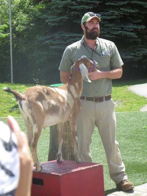 Waterside Theater-Niles