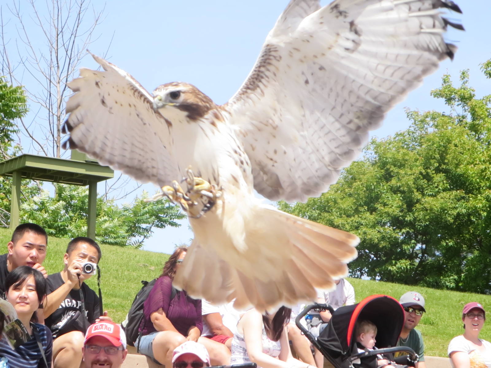 Waterside Theater-Rosie