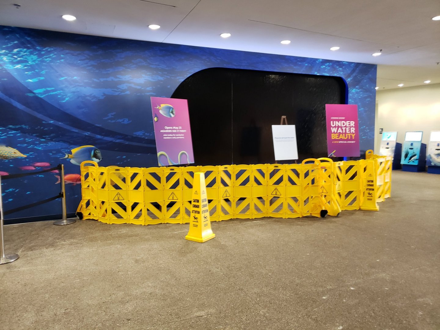 Waterwall Preview for Under Water Beauty