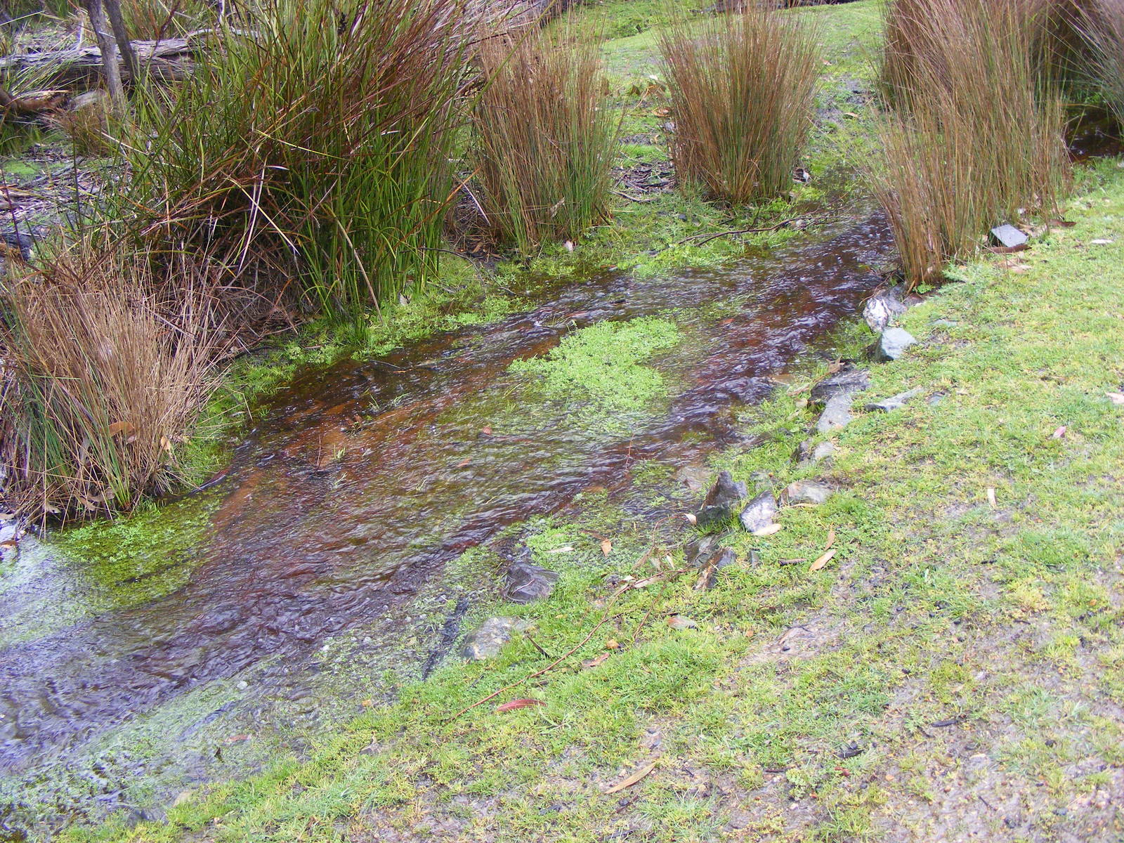 Waterway - September, 2009