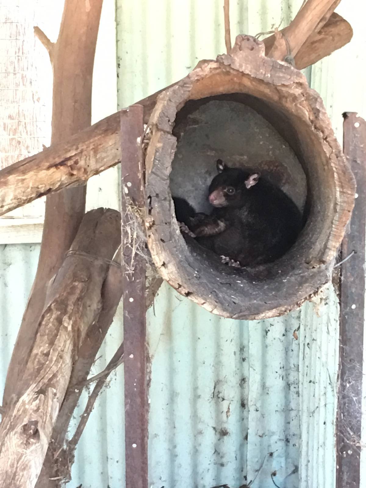 WaterwaysWildlifePark