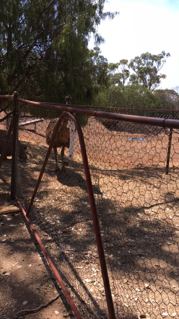 WaterwaysWildlifePark