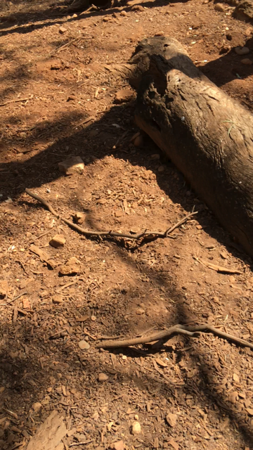 WaterwaysWildlifePark