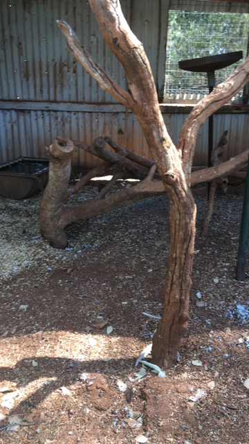 WaterwaysWildlifePark