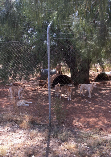 WaterwaysWildlifePark