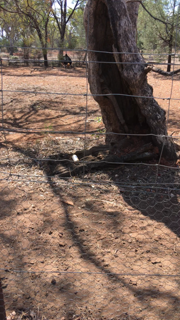 WaterwaysWildlifePark