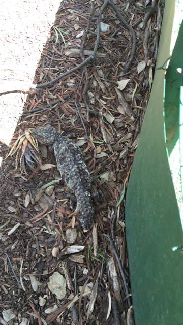 WaterwaysWildlifePark