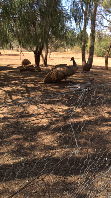 WaterwaysWildlifePark