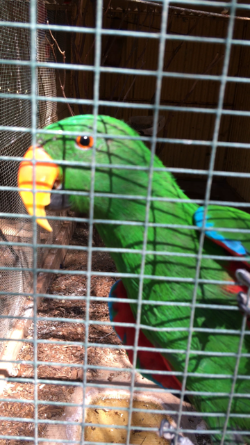 WaterwaysWildlifePark