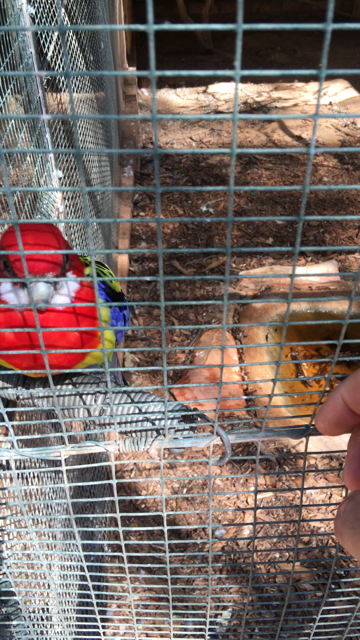 WaterwaysWildlifePark