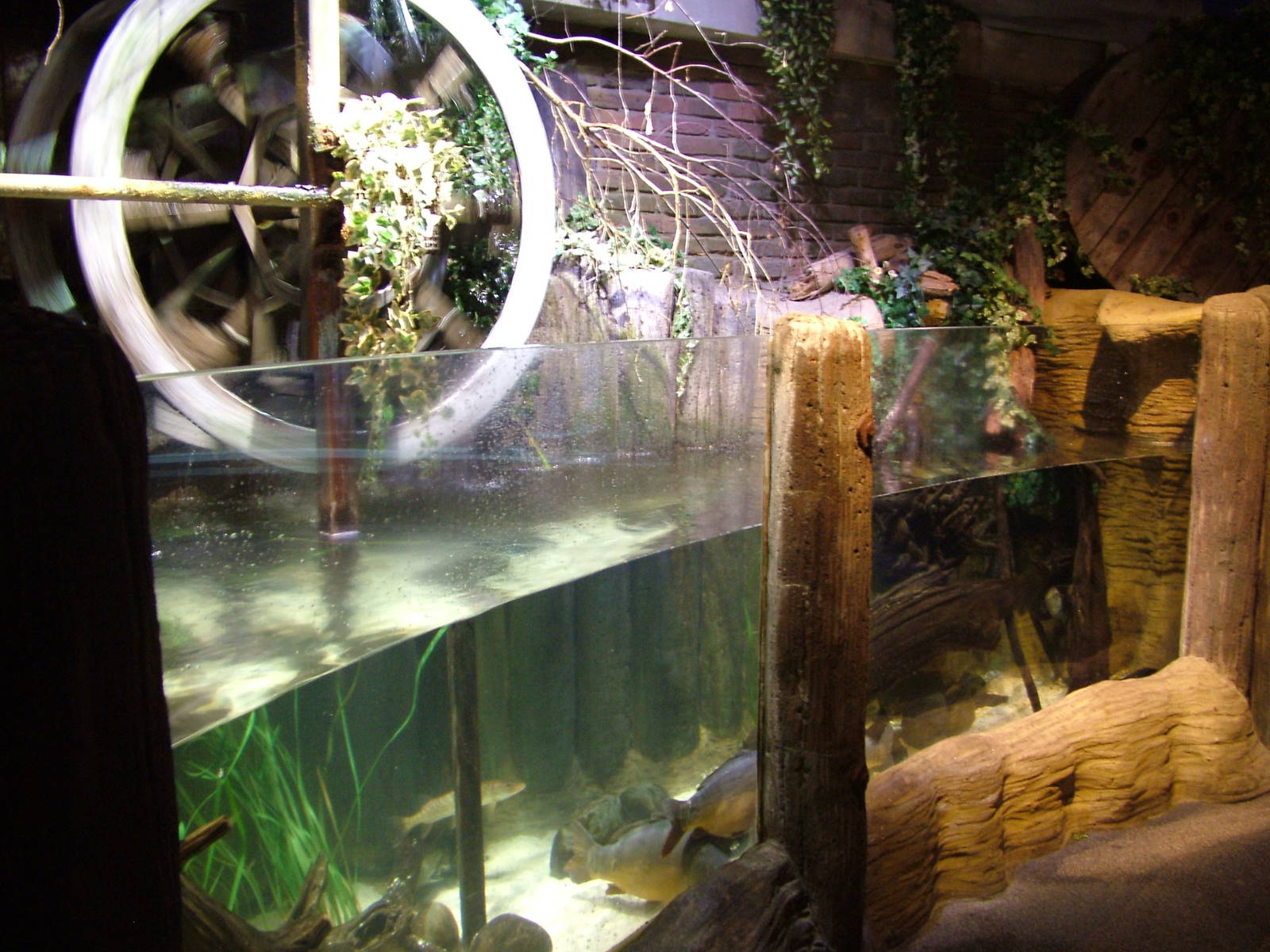 Waterwheel Display at SeaLife Berlin, 05/09/11