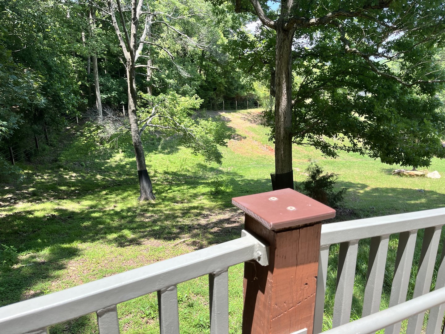 Watson Grasslands Reserve Viewing