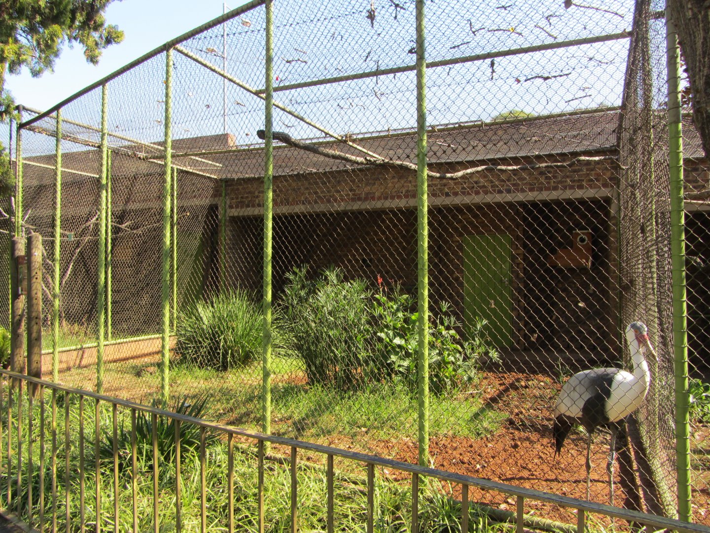Wattled Crane Aviary