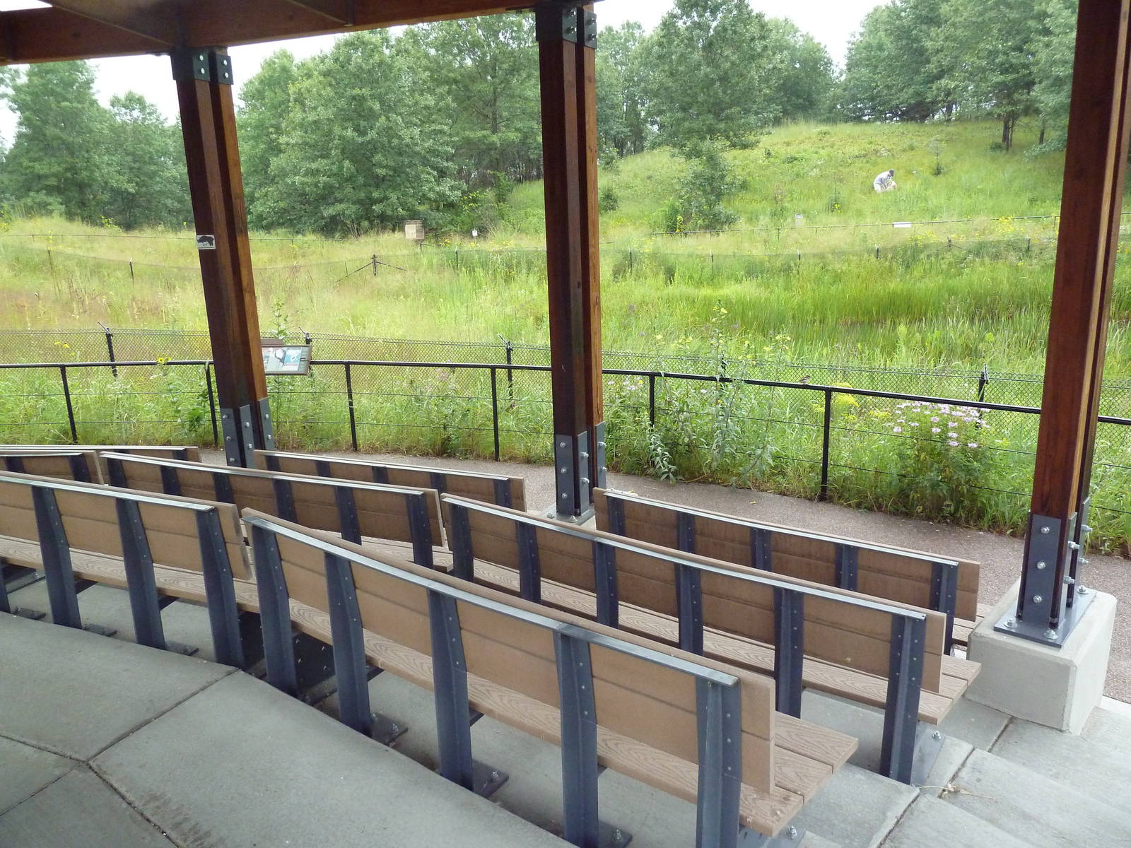 Wattled Crane Exhibit - Viewing Shelter