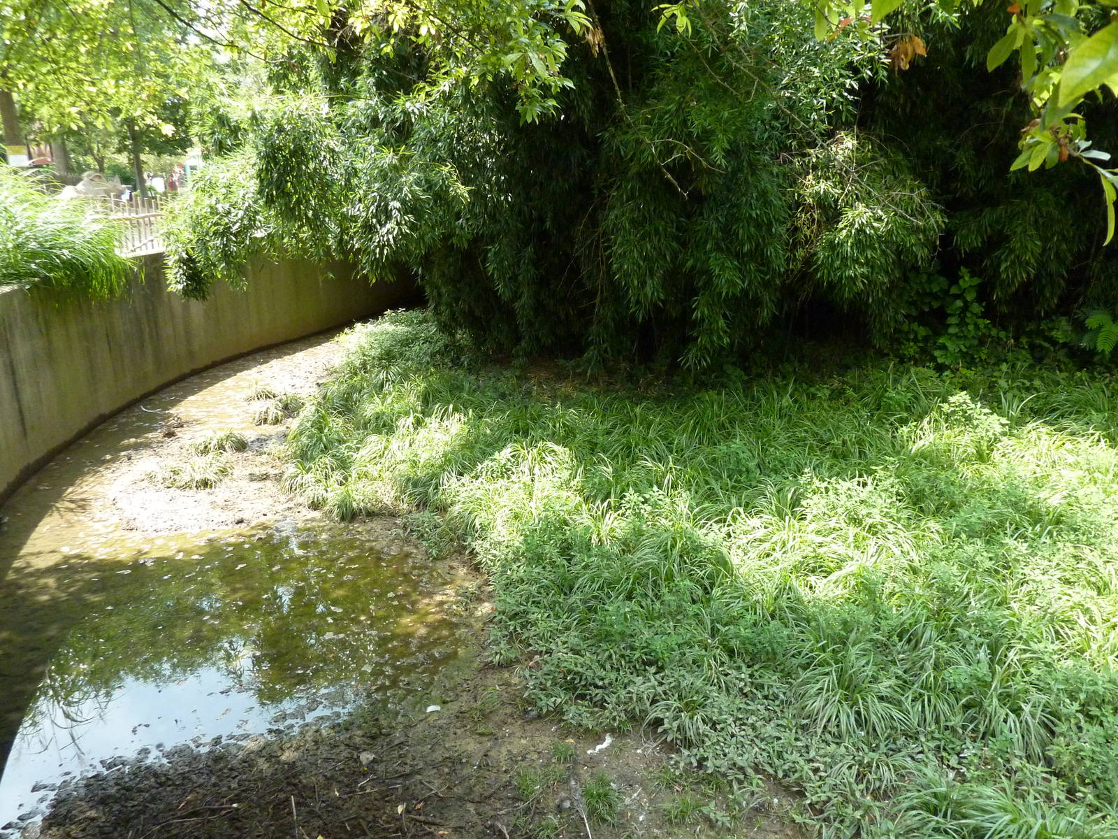 Wattled Crane Exhibit