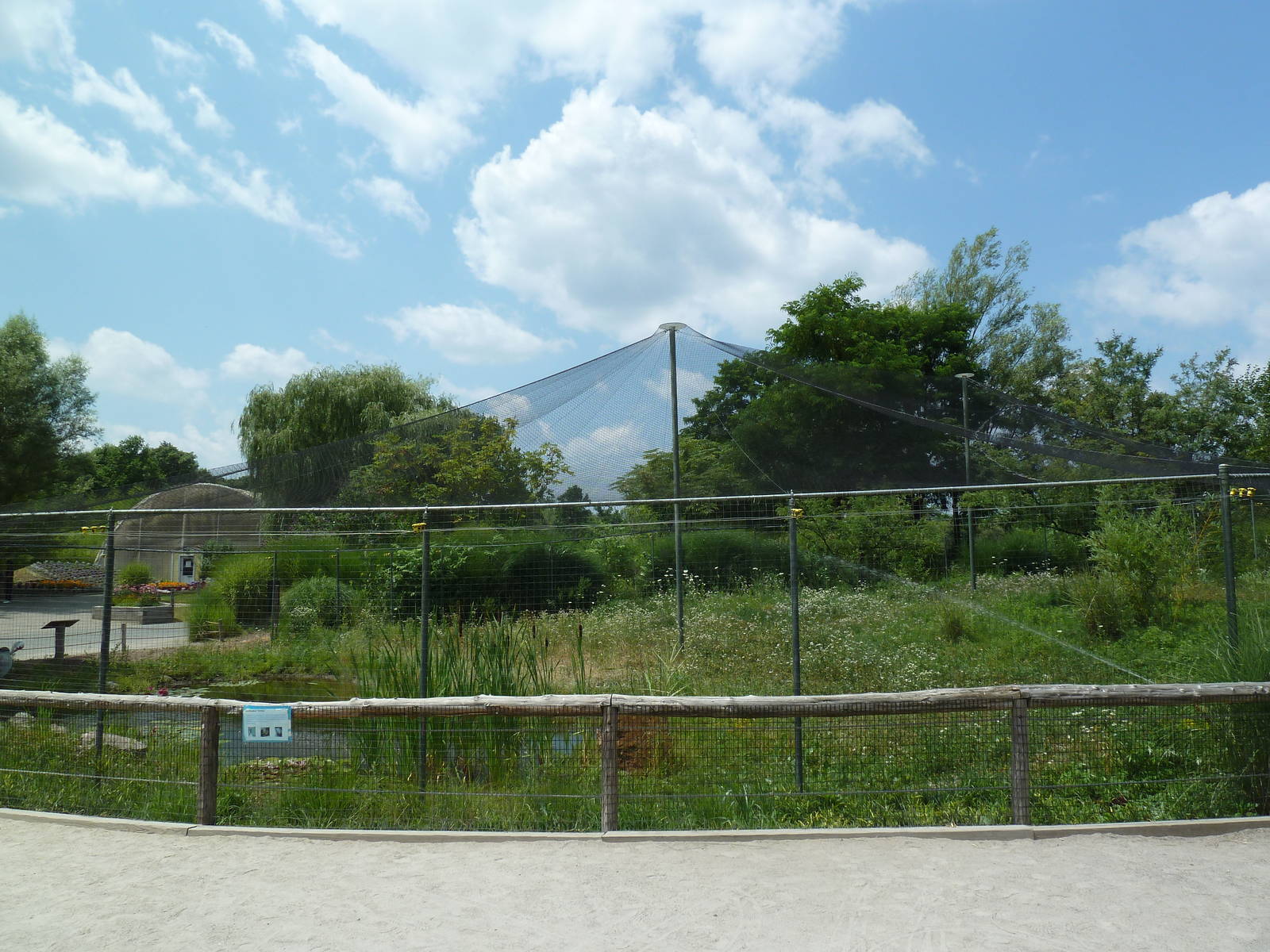 Wattled Crane Exhibit