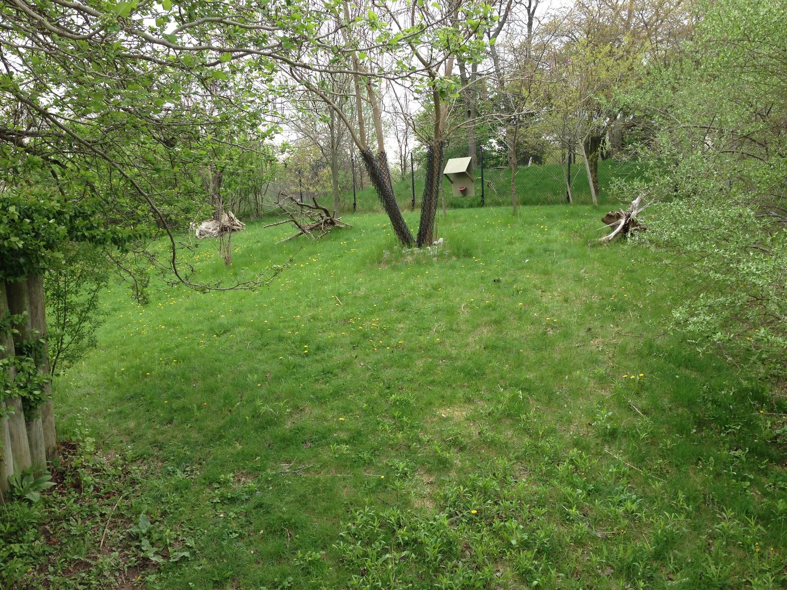 Wattled Crane Exhibit