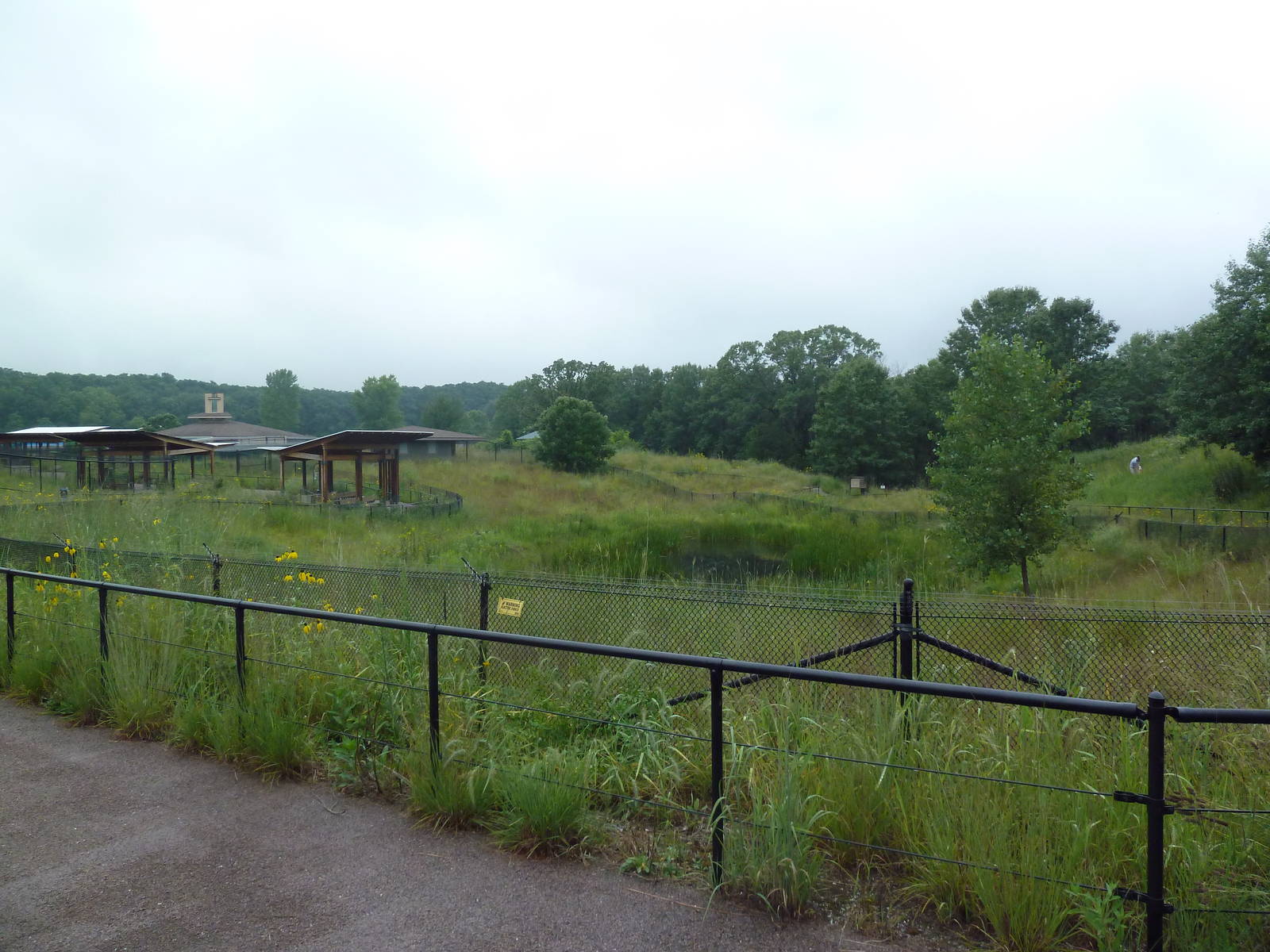 Wattled Crane Exhibit