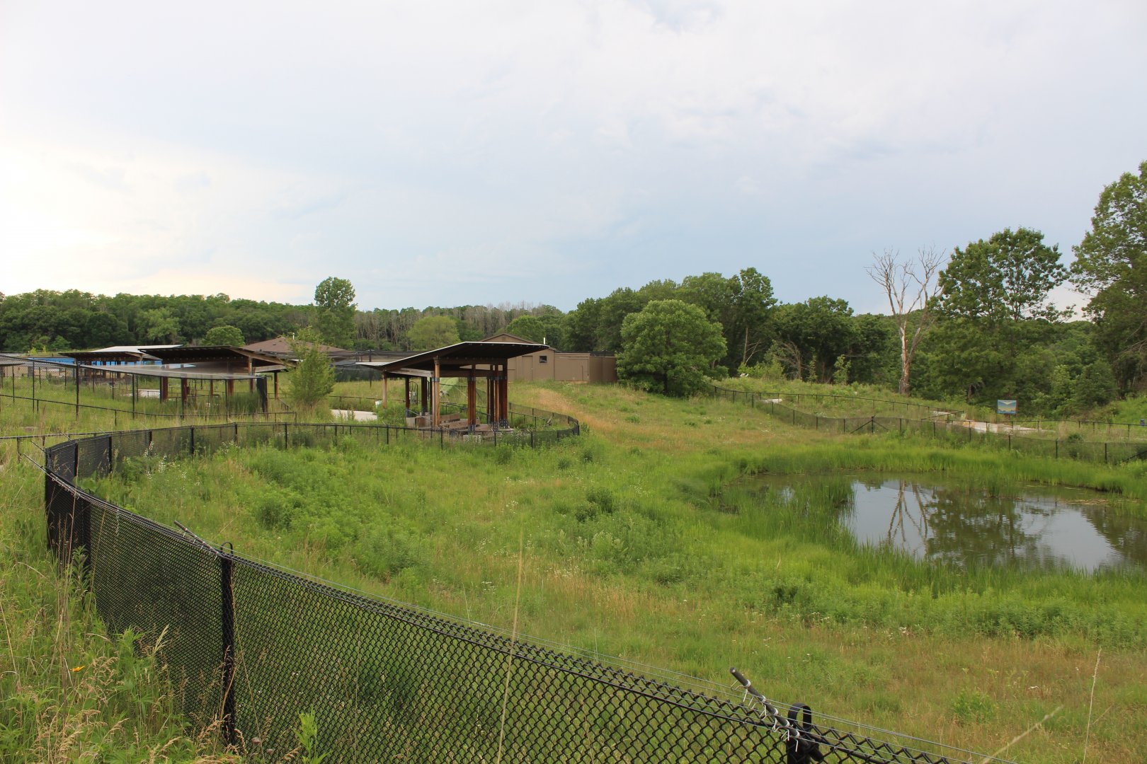 Wattled Crane Exhibit