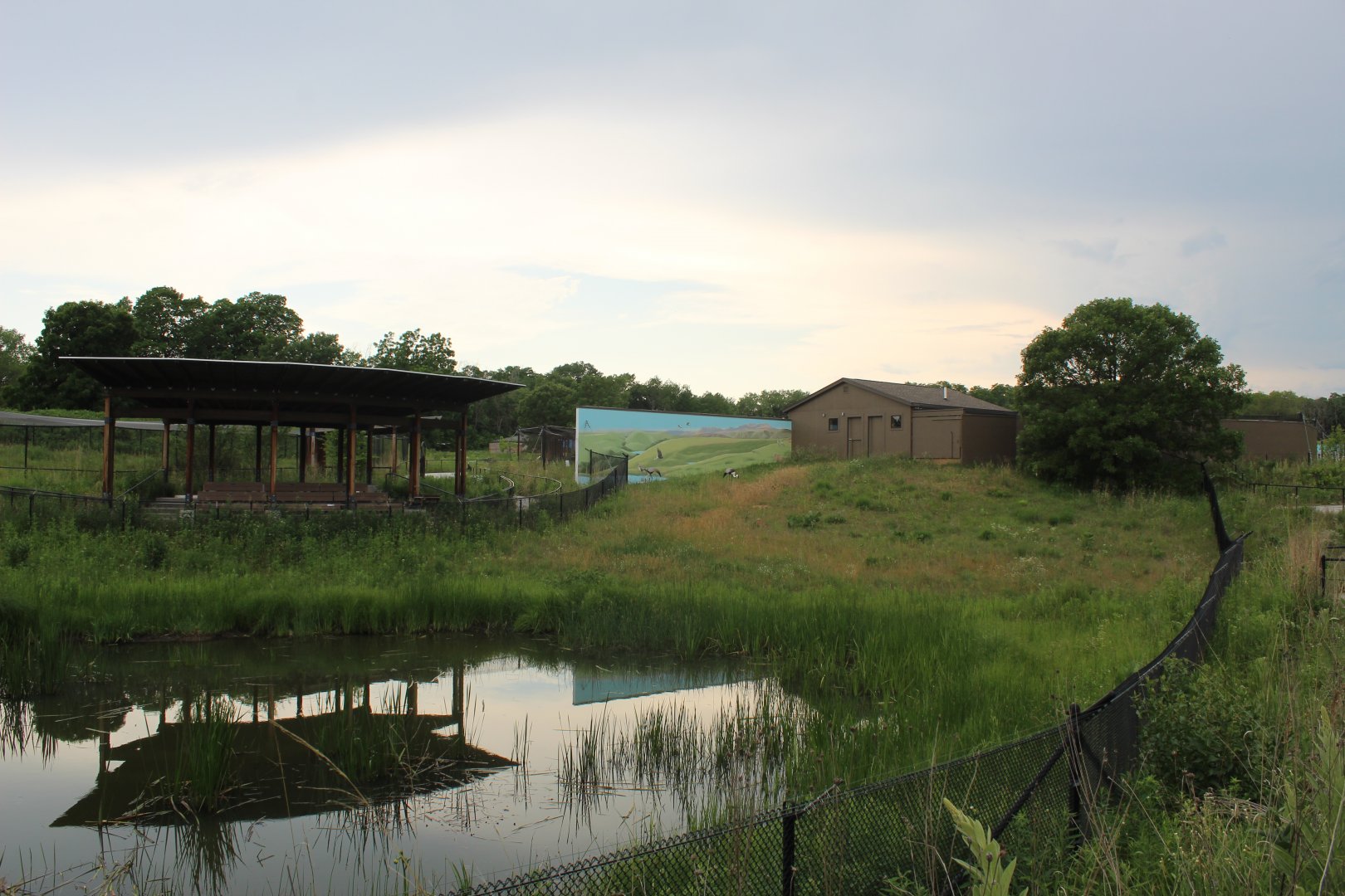 Wattled Crane Exhibit