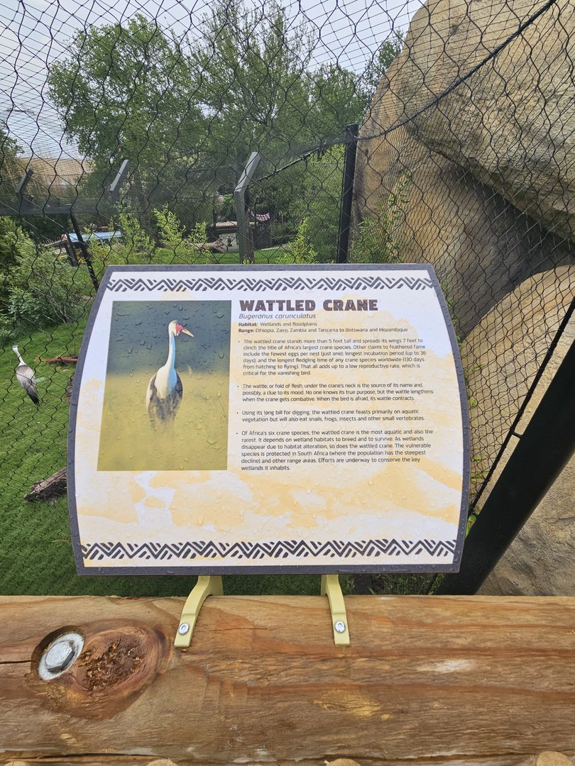 Wattled crane sign
