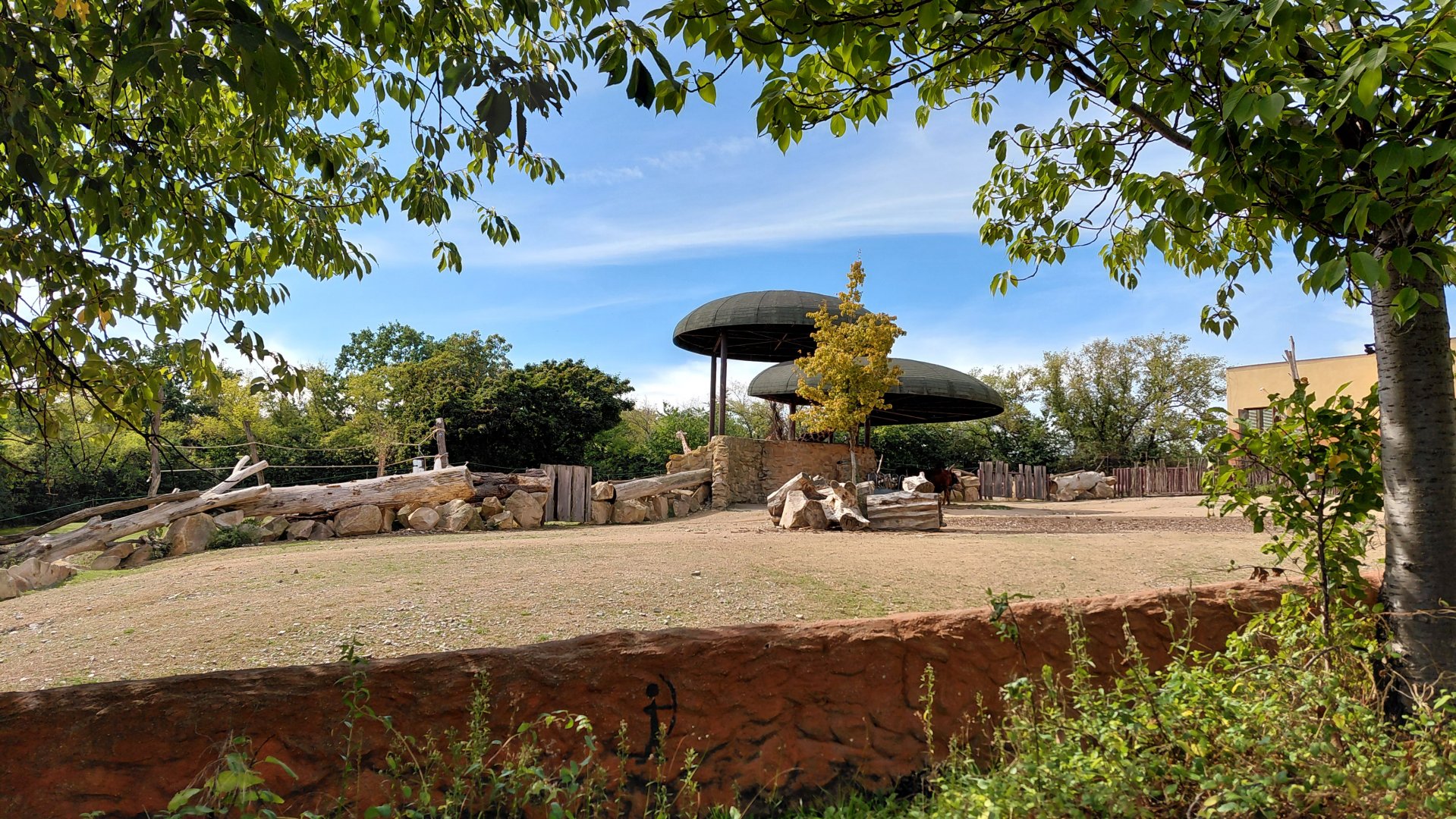 Watusi and ostrich exhibit