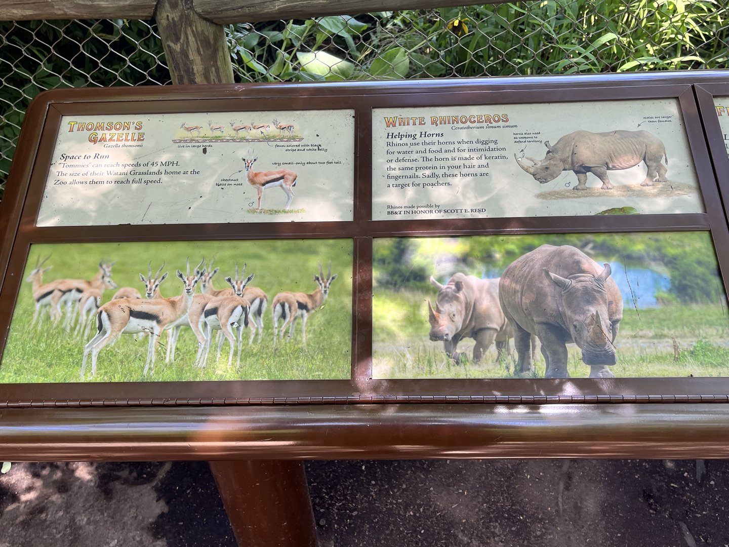 Watusi Grasslands Reserve Signage (All Animals out of Camera View)