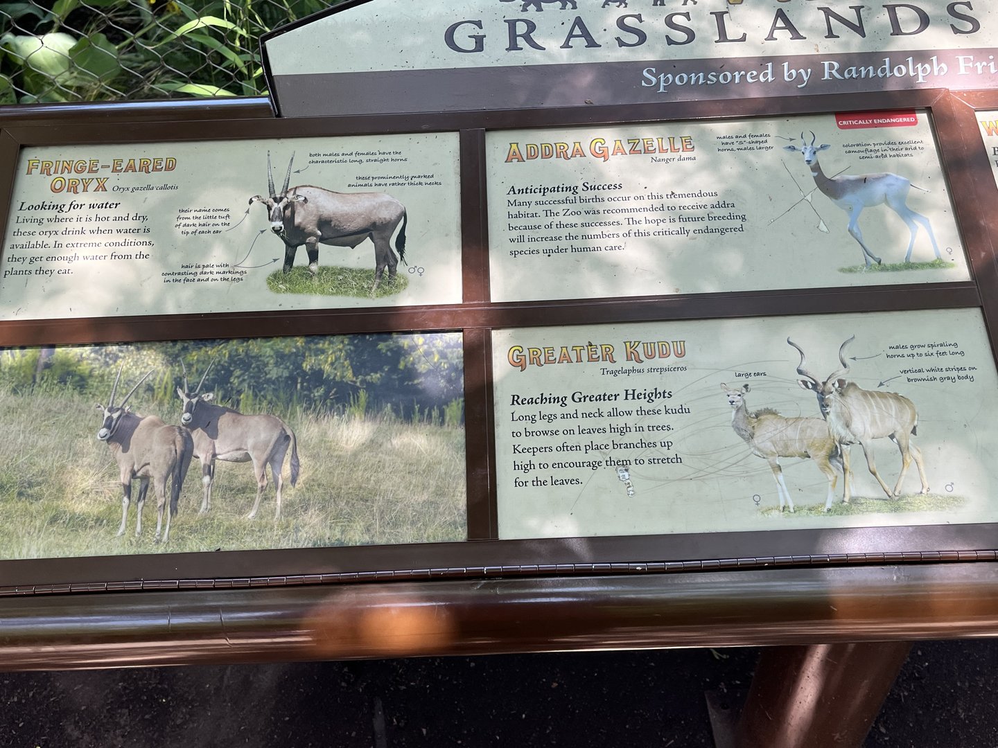 Watusi Grasslands Reserve Signage (All Animals out of Camera View)