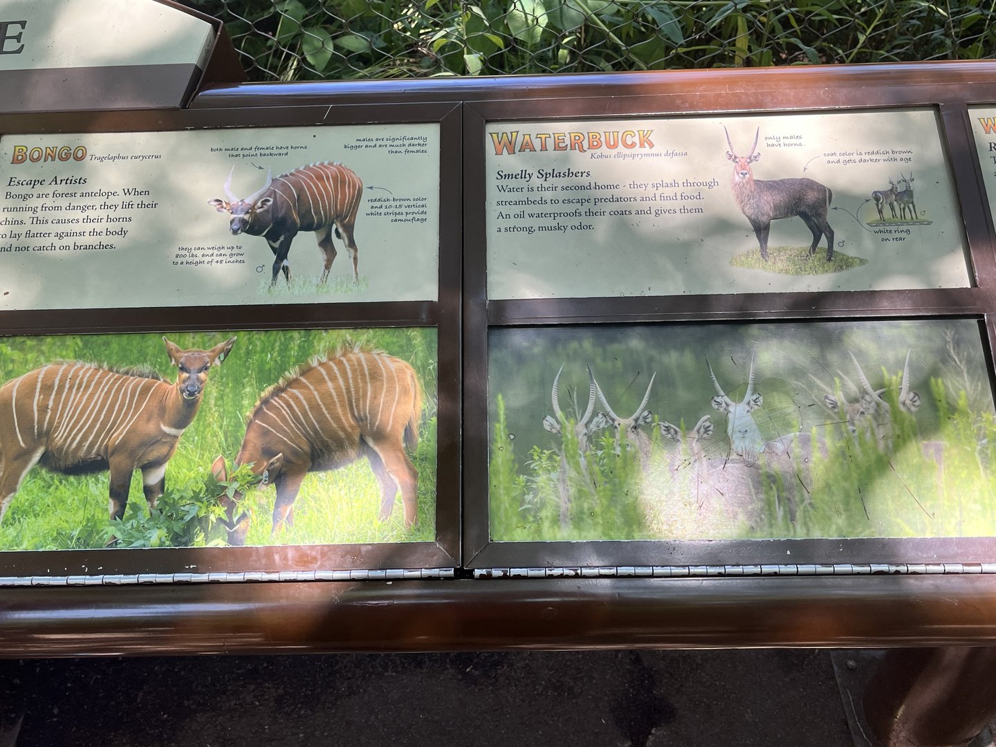 Watusi Grasslands Reserve Signage (All Animals out of Camera View)