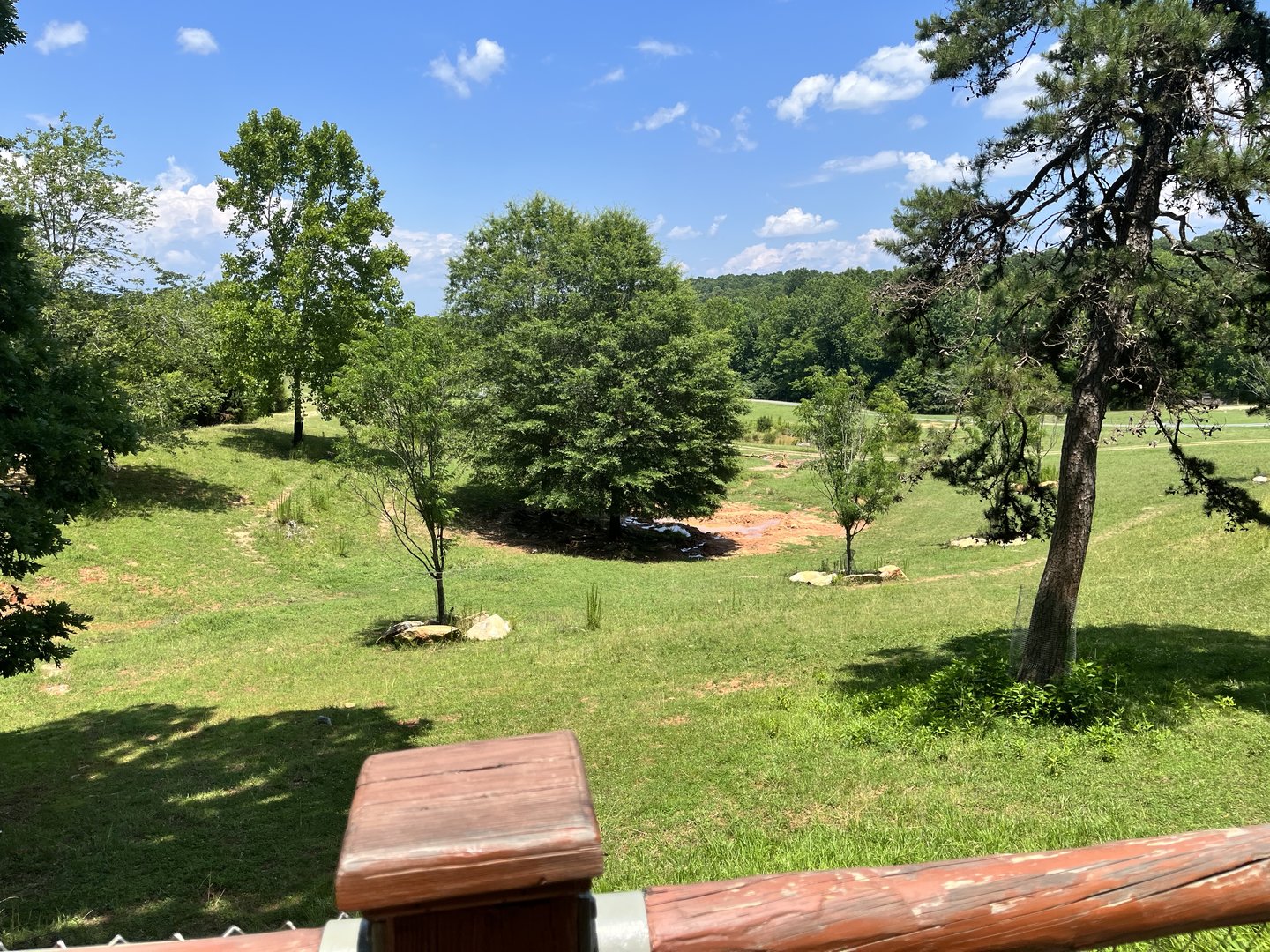 Watusi Grasslands Reserve Viewing