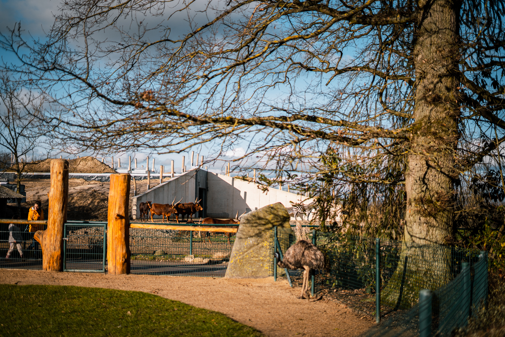 Watussi in front of the Africa house