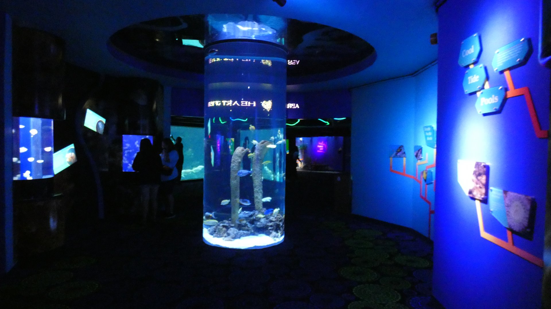 Waves of Wonder - Aug. 2021