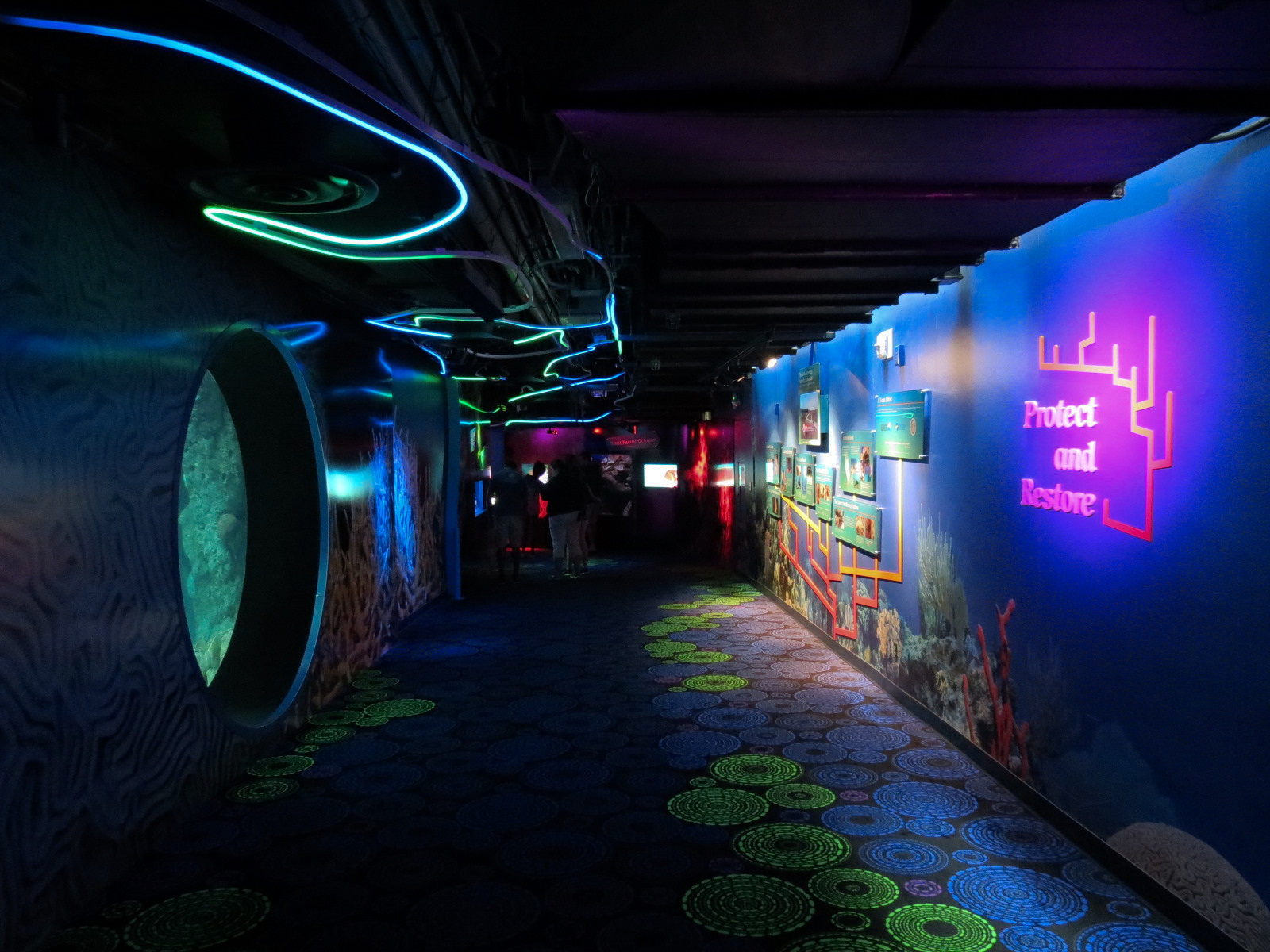 Waves Of Wonder - Hallway