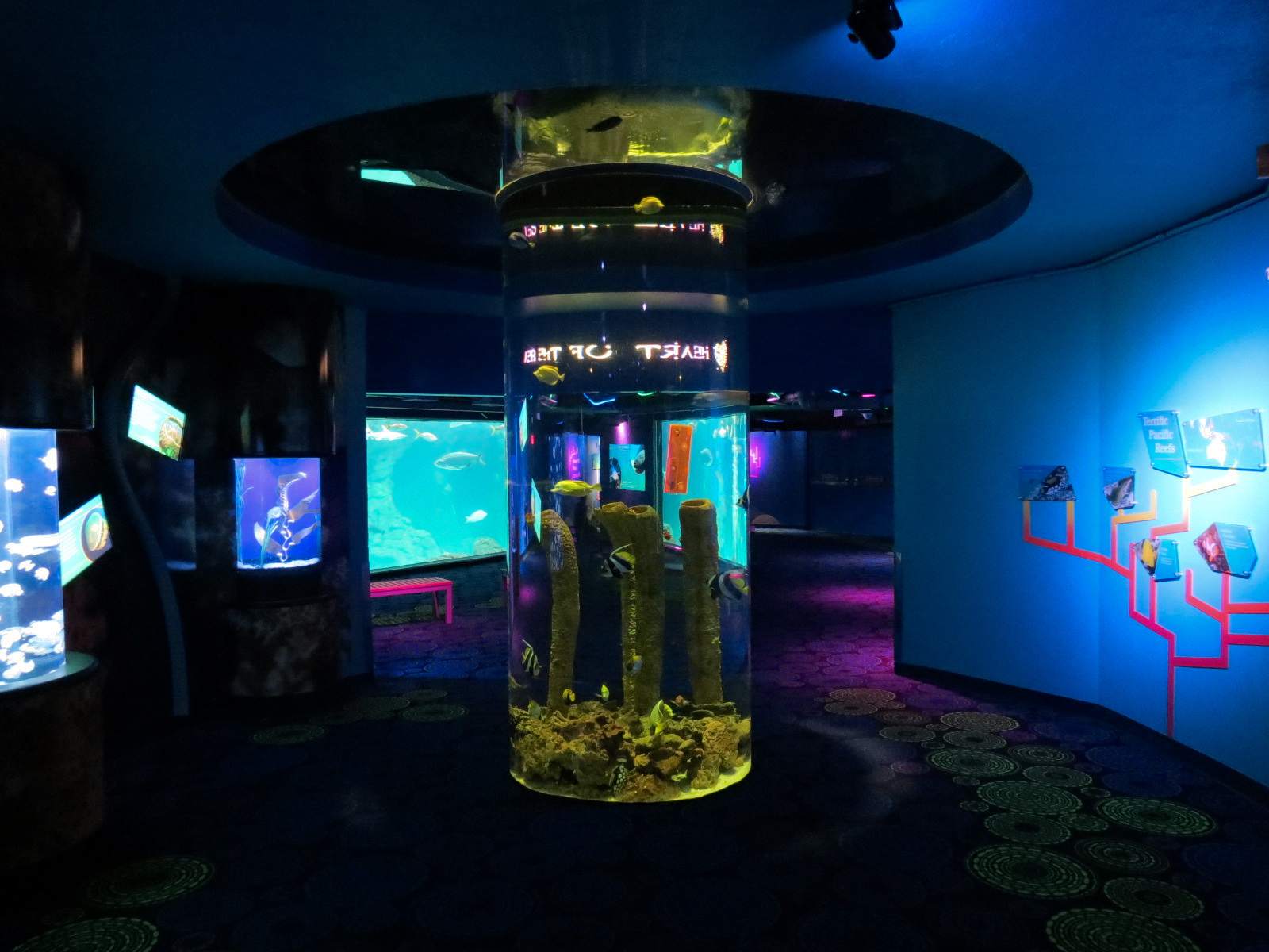 Waves Of Wonder - Round Column Exhibit