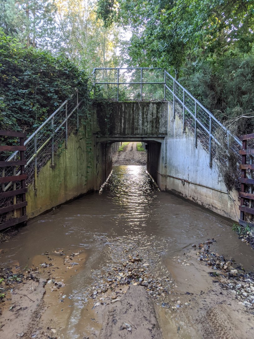 Way in and out of reserve / Watatunga / 1-9-20