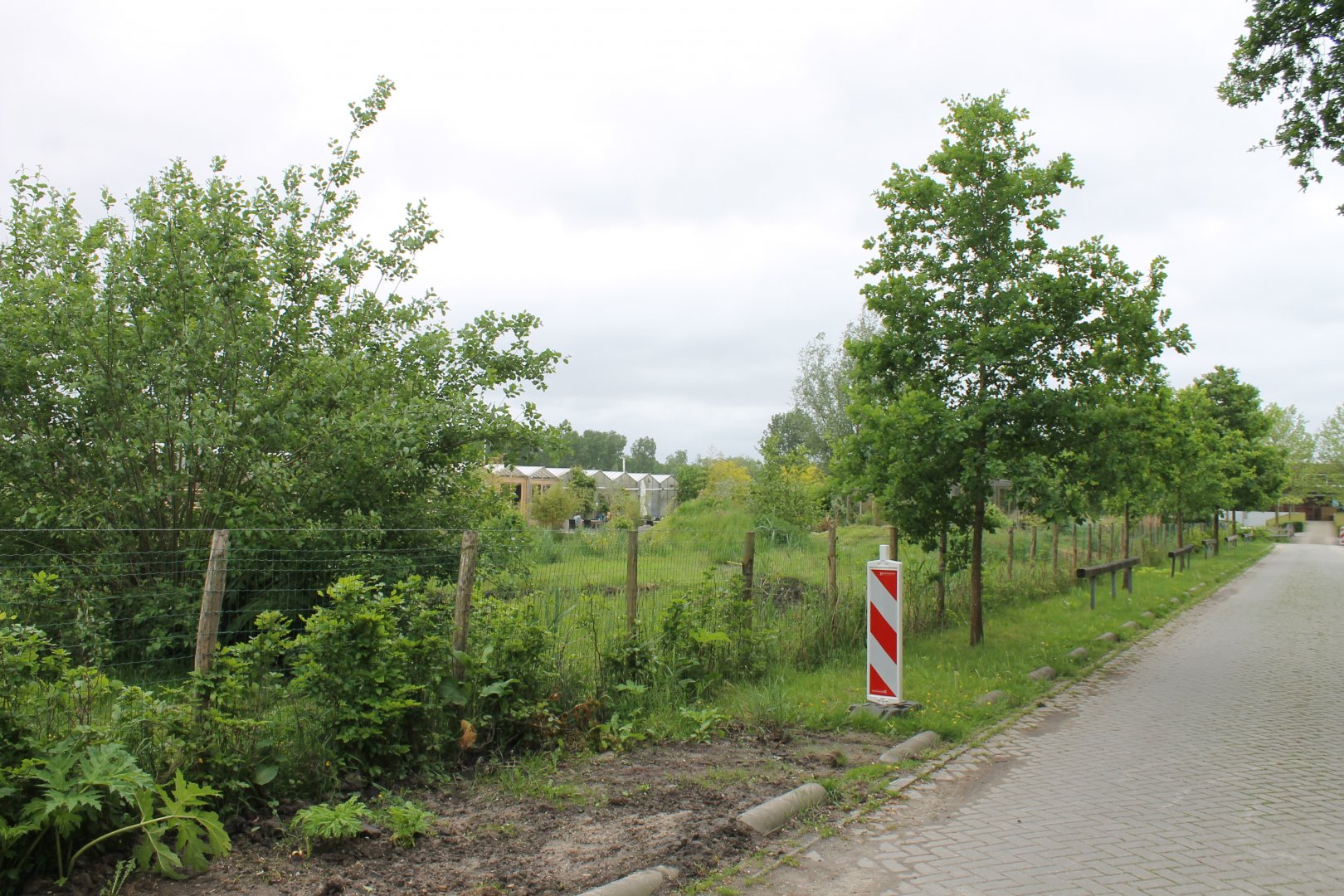 Way to Almere Jungle