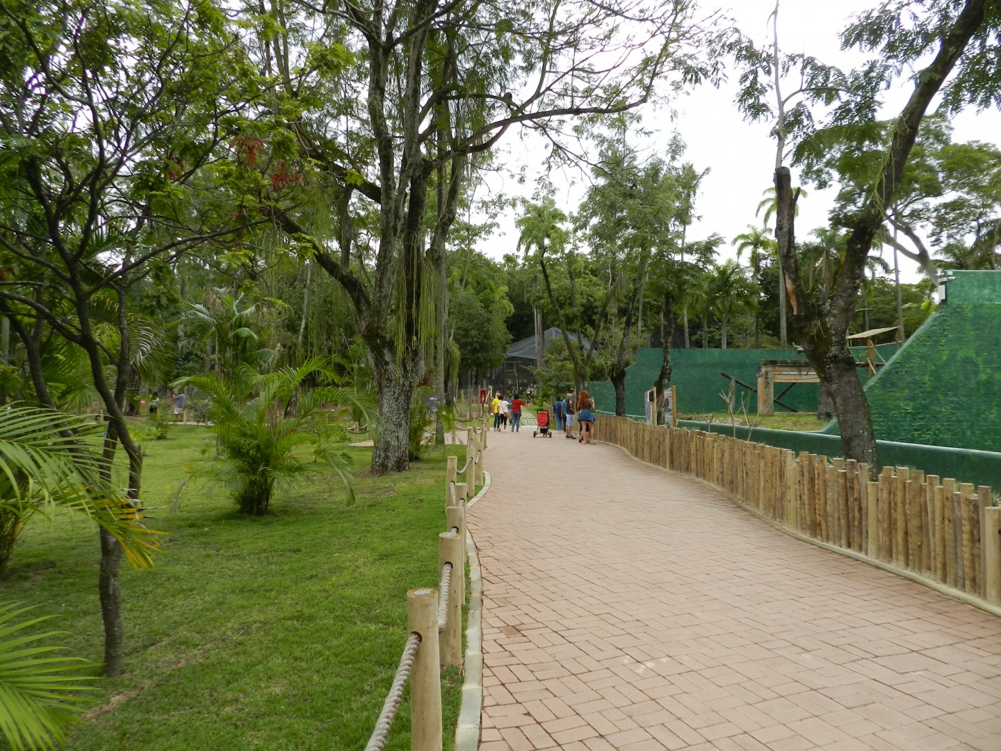Way to the Sumatra exhibit - BioParque do Rio