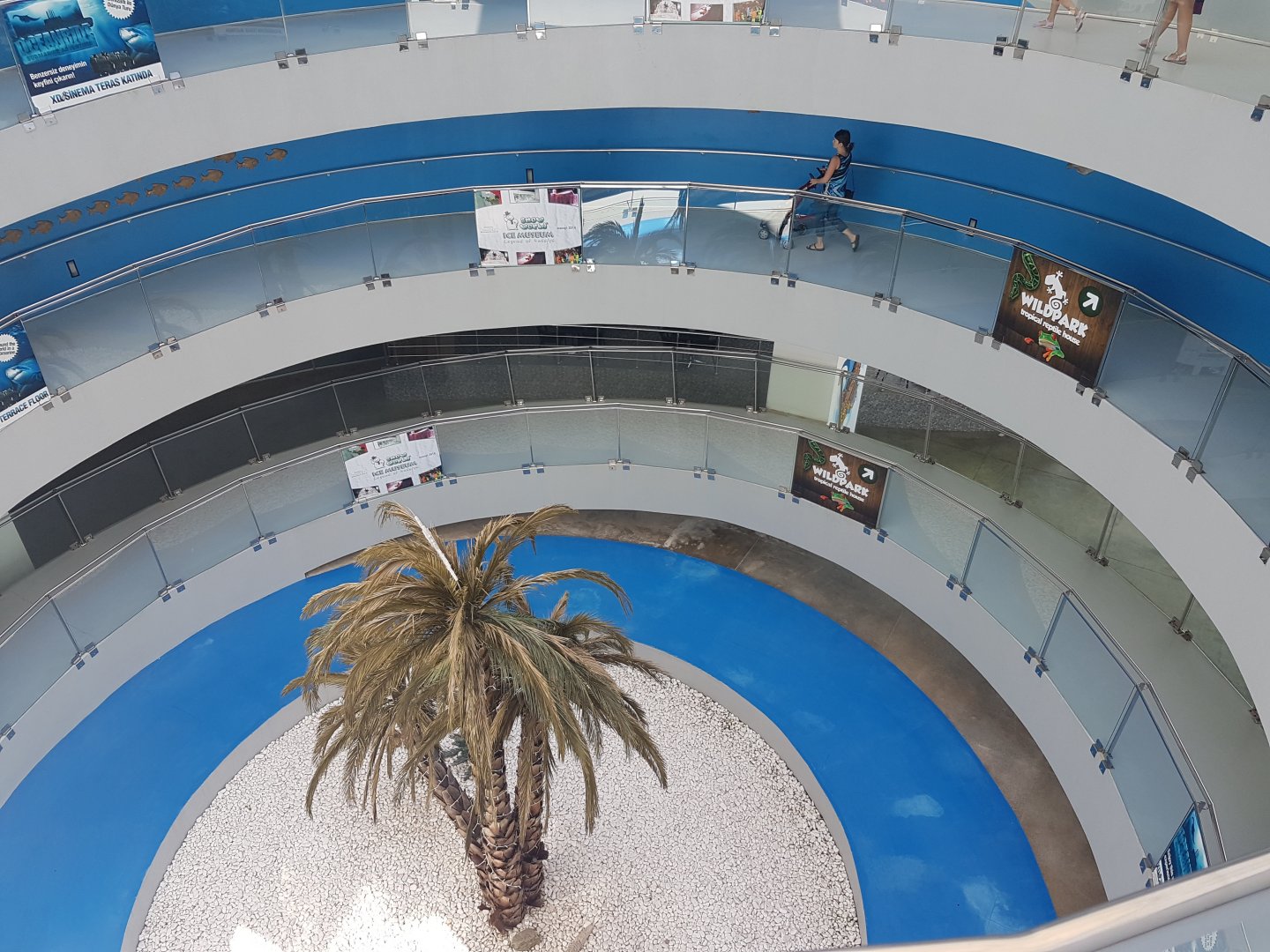 Wayup to Wildpark - Waydown to Aquarium