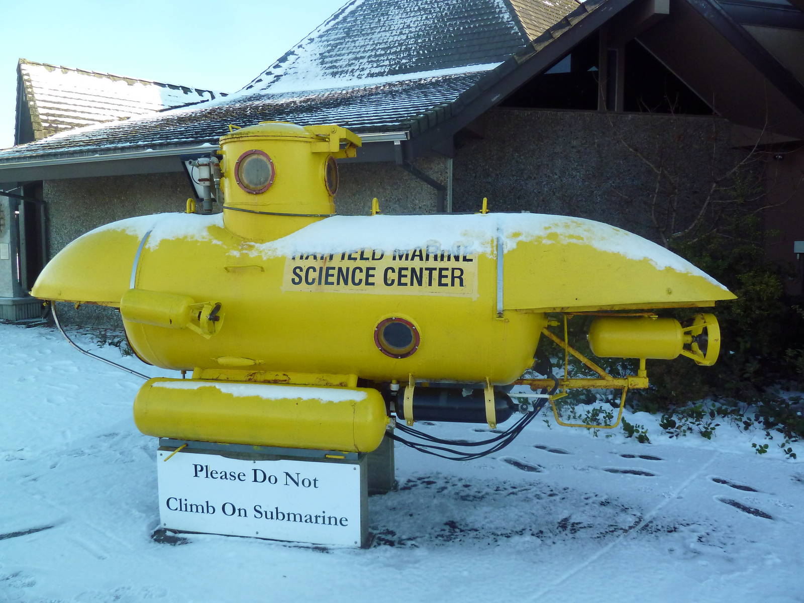 We All Live In A Yellow Submarine