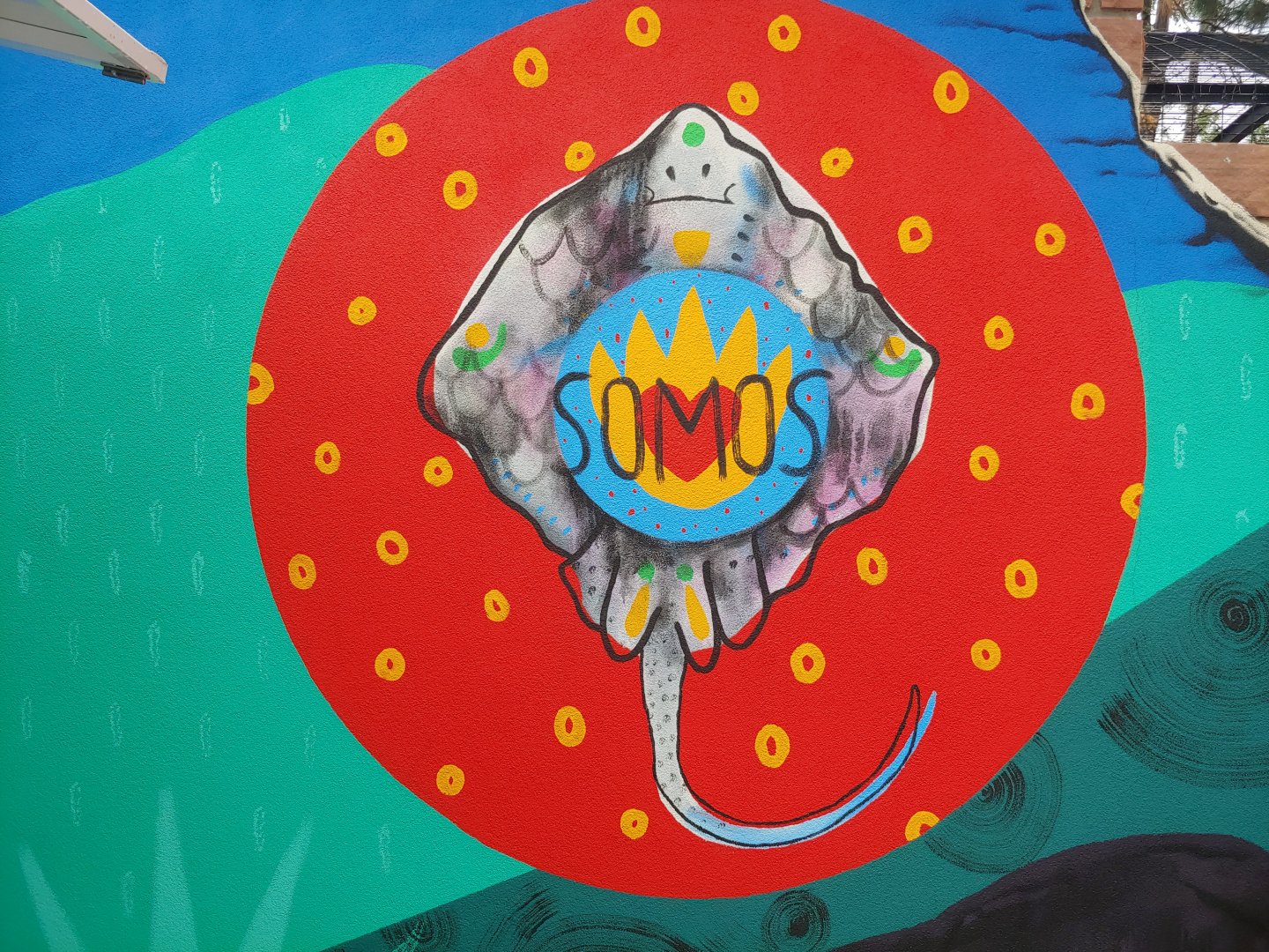 We Are All Stingrays