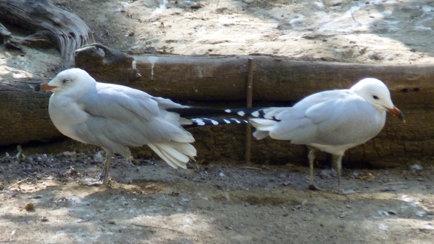 "We don't talk anymore"