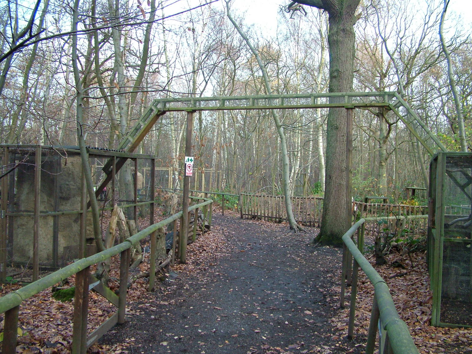 Weasel exhibits at Wildwood 28/11/09