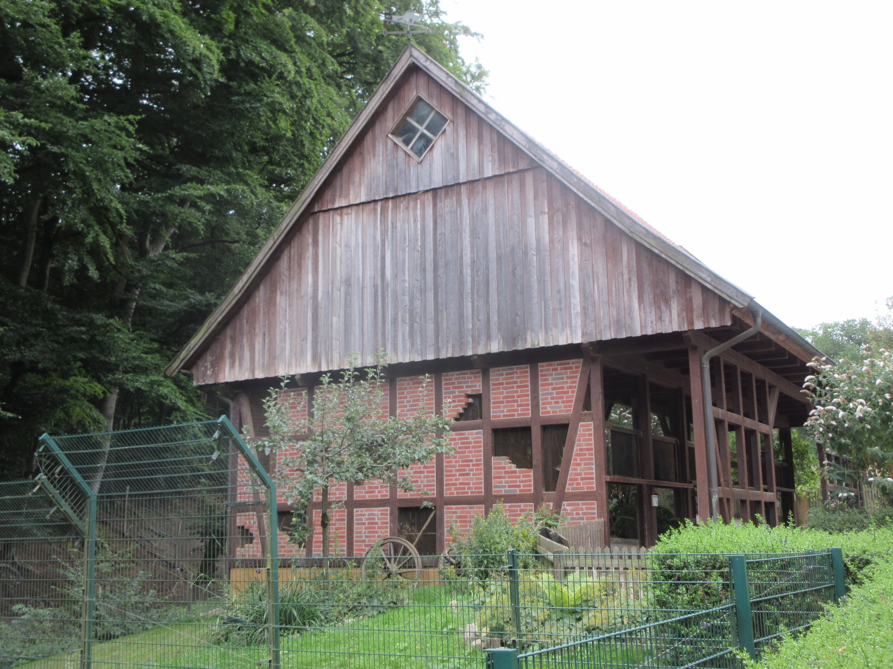 Weasel House (4 Species)