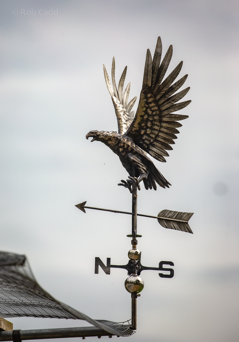 Weathervane : Cotswold Falconry Centre : 04 Sep 2020