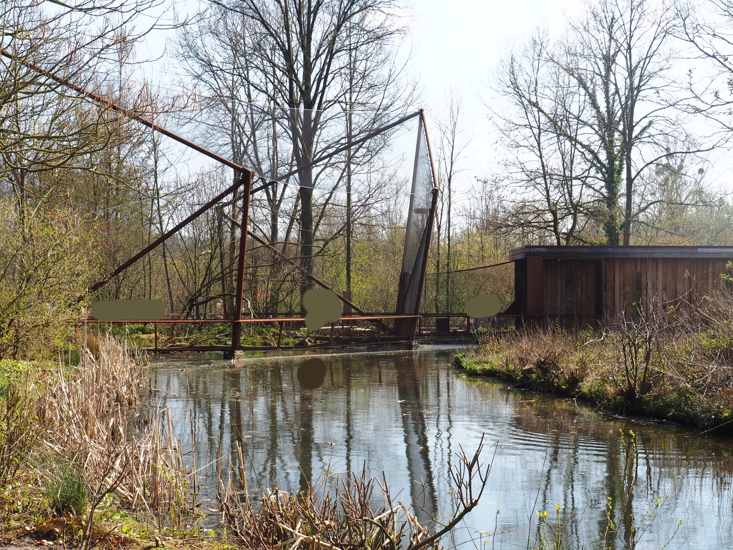 Weaver aviary and house seen from across the gorilla island moat, 2019-03-30