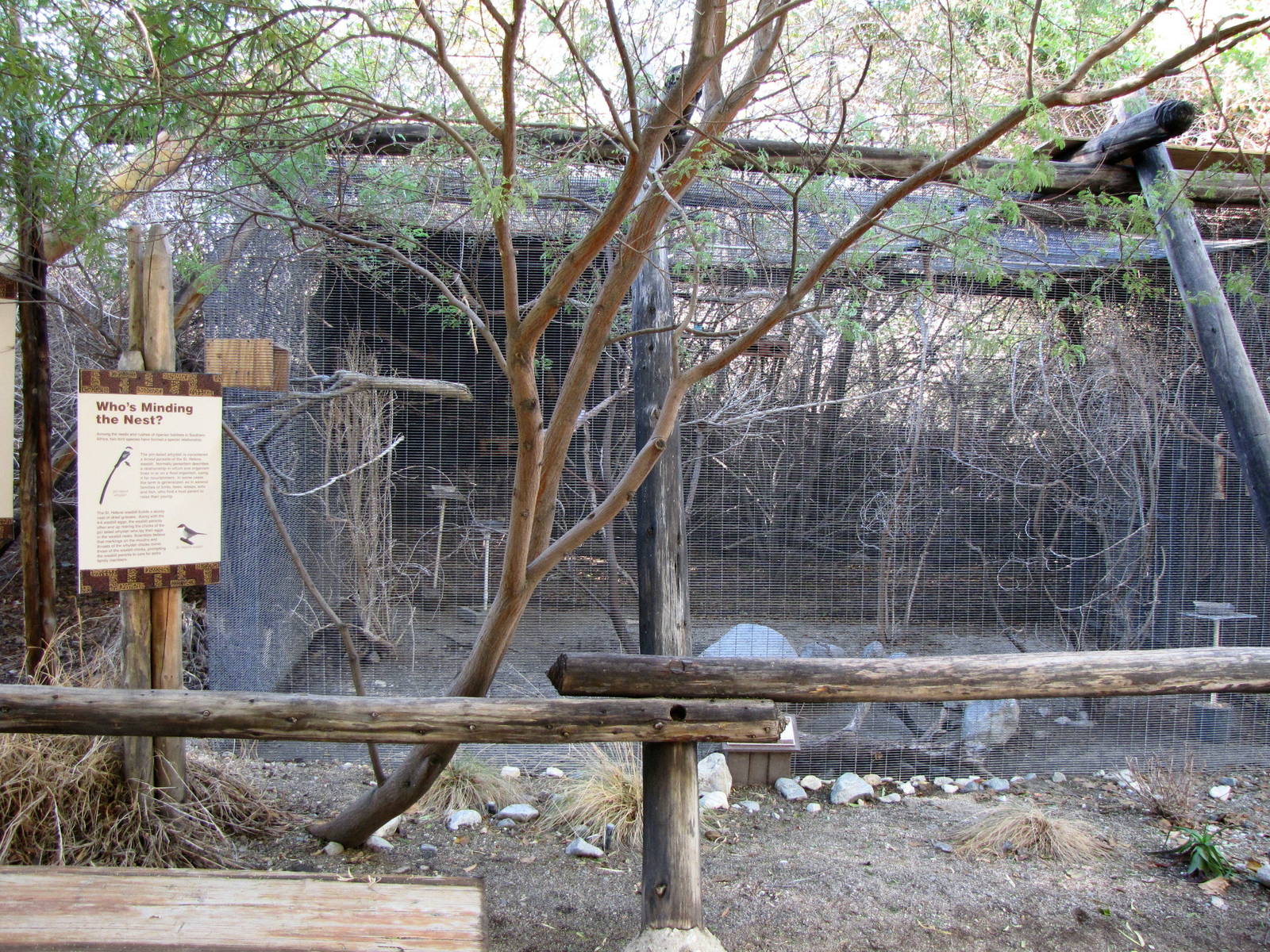 Weaver Aviary